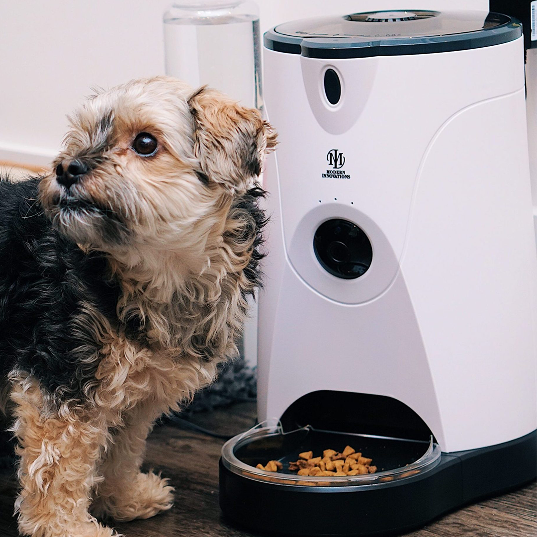 TrendCorner Pet Feeder